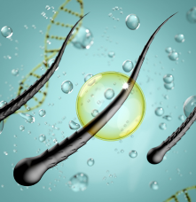 Untitled design - 2025-05-05T095757.175