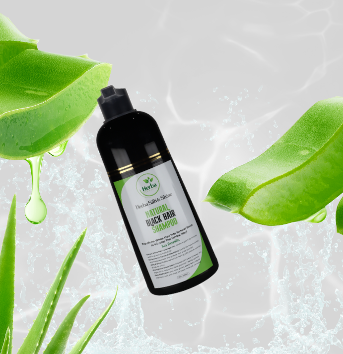 Untitled design - 2025-05-06T093749.978